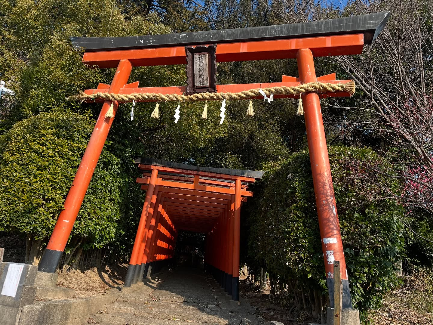 今日は柏原市田辺地区の早朝散歩