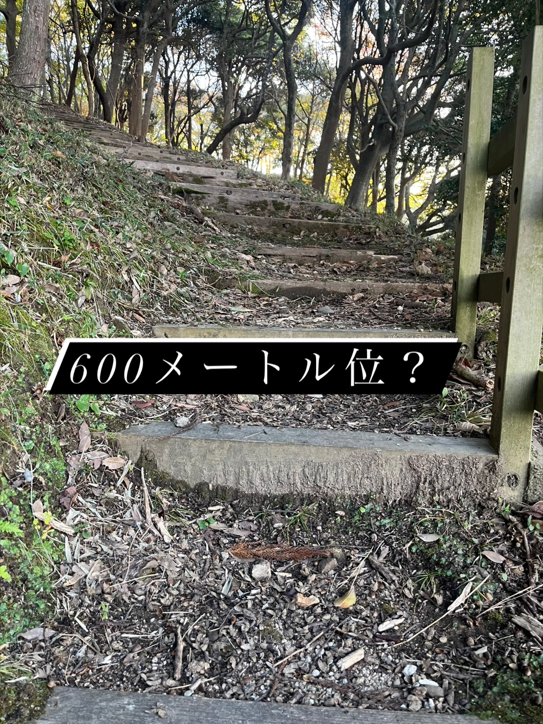 絶景を見るために