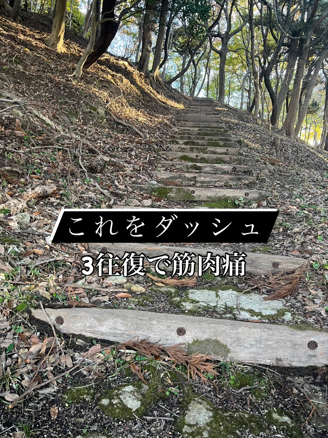 絶景を見るために