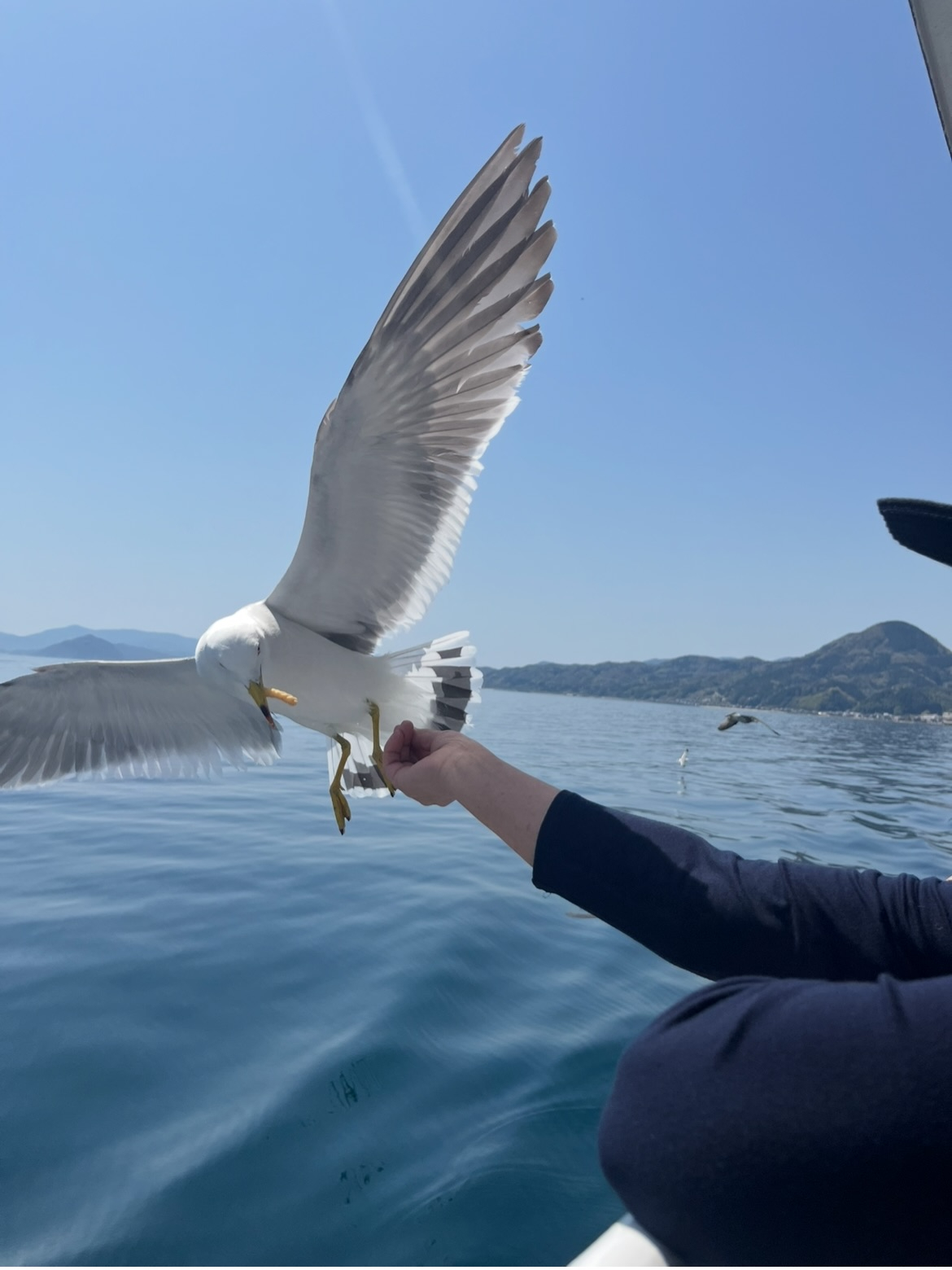 これ、本当に今だけです。