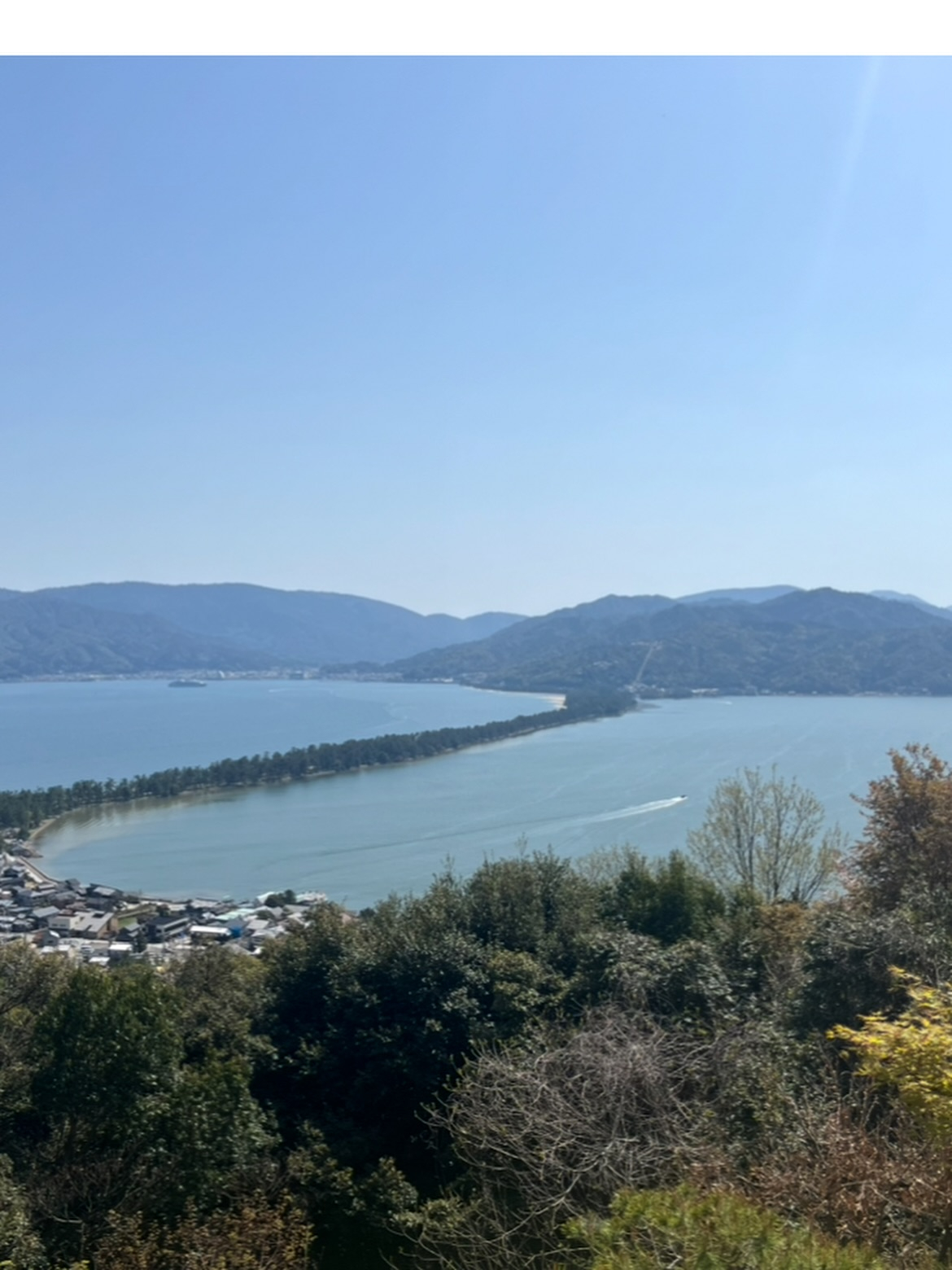 これ、本当に今だけです。