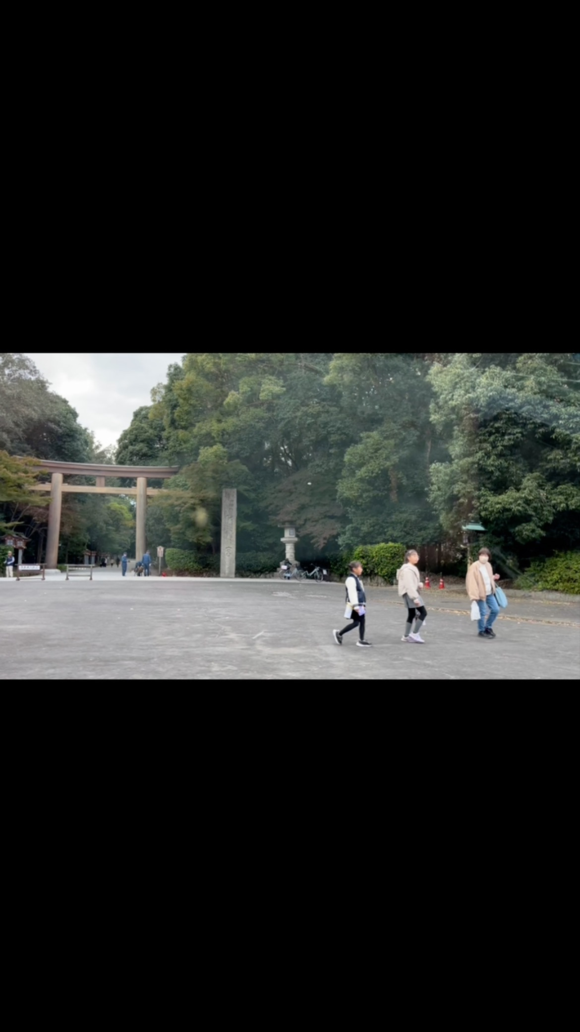 #橿原神宮 #橿原神宮新嘗祭　#橿原神宮⛩ 