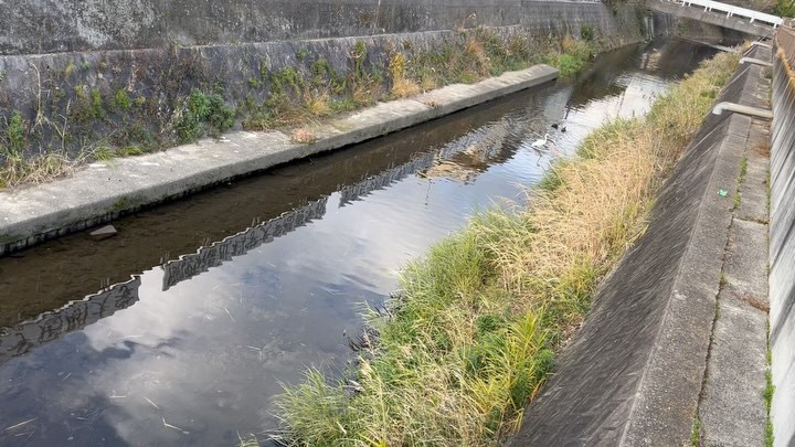 #柏原市