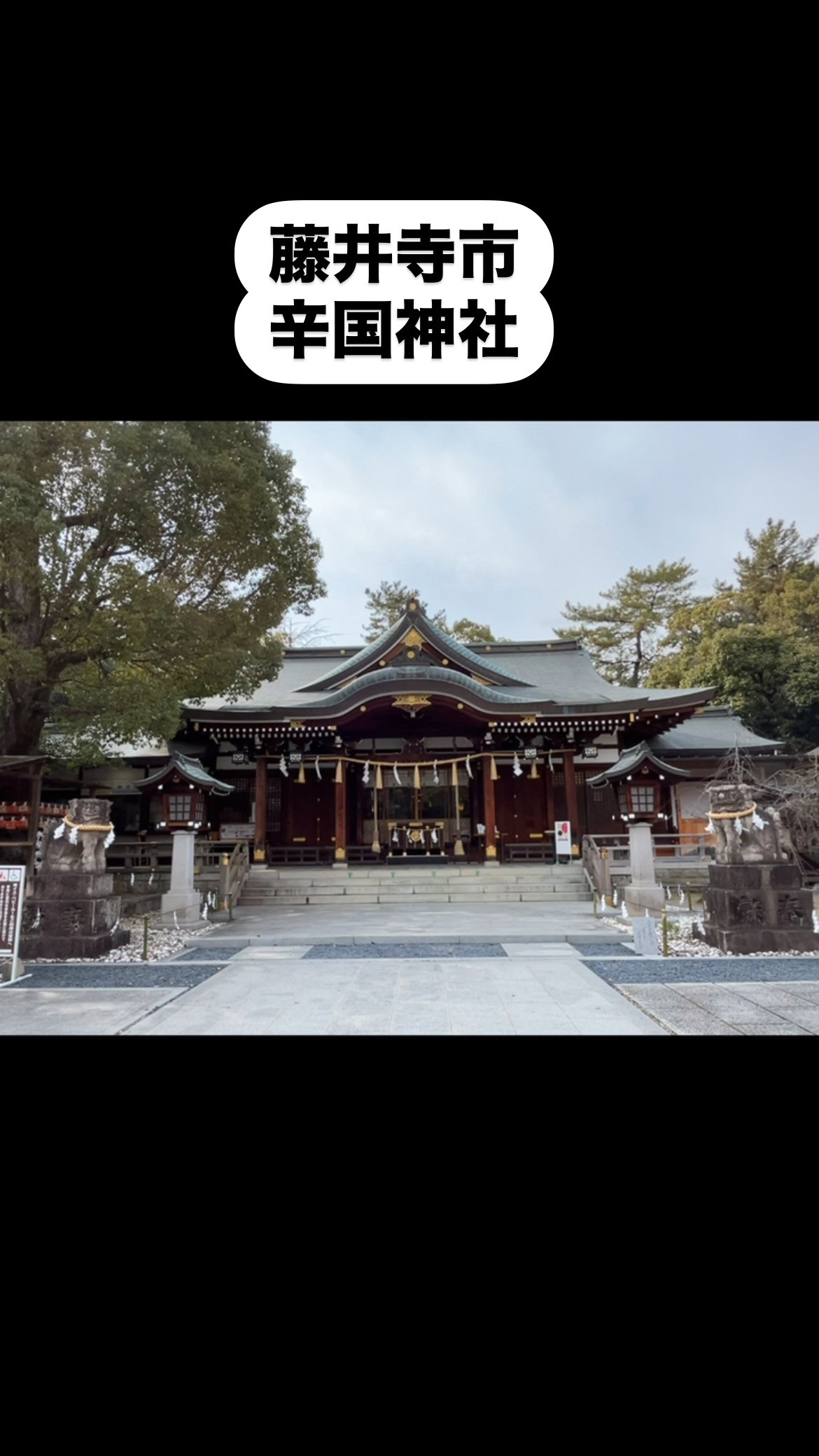 藤井寺市辛国神社へ