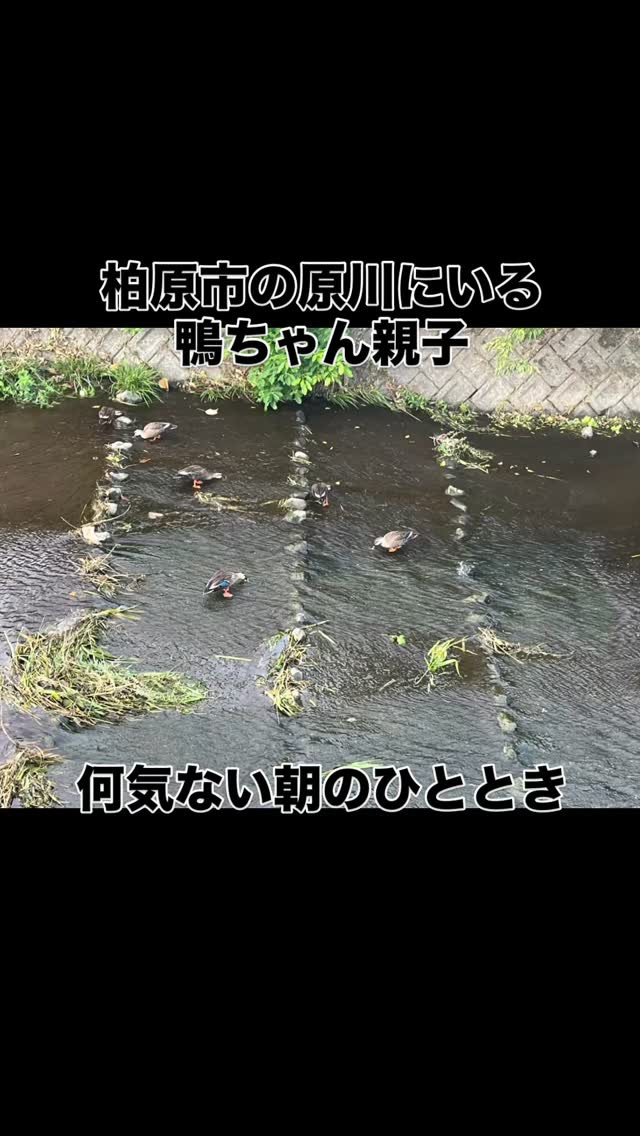 #十人十色の旅 #こんな旅行あったらいいな #林部旅行プラン...